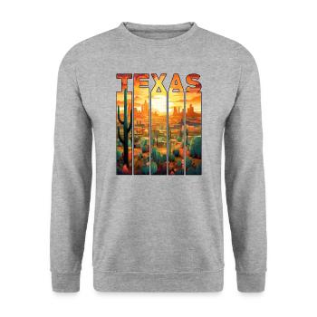 Texas Motif Tourist Desert City Sunset - Unisex Sweatshirt - salt & pepper - Front - Alina (178cm) & Michal (187cm)