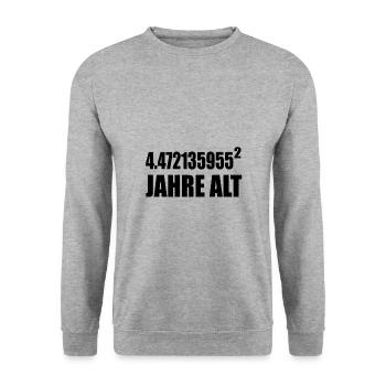 20 Jahre alt Mathematiker Geschenk - Unisex Pullover - Weißgrau meliert - Vorne - Alina (178cm) & Michal (187cm)