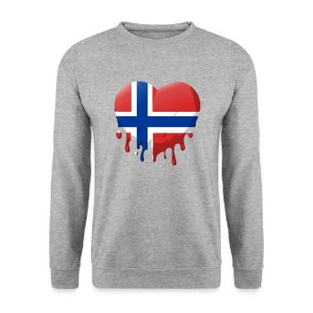 Drapeau de la Norvège Scandinavie Drapeau norvégien - Sweat-shirt Unisexe - gris chiné - Devant - Alina (178cm) & Michal (187cm)