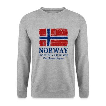 Norway Flag - Vintage Look - Unisex Sweatshirt - salt & pepper - Front - Alina (178cm) & Michal (187cm)