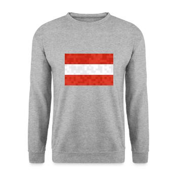 Austria Flag Austria Austrian flag AT - Unisex Sweatshirt - salt & pepper - Front - Alina (178cm) & Michal (187cm)