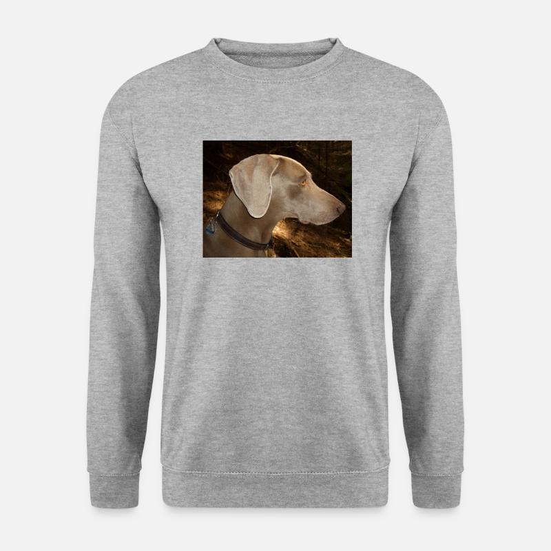 Delta - Unisex Pullover - Weißgrau meliert