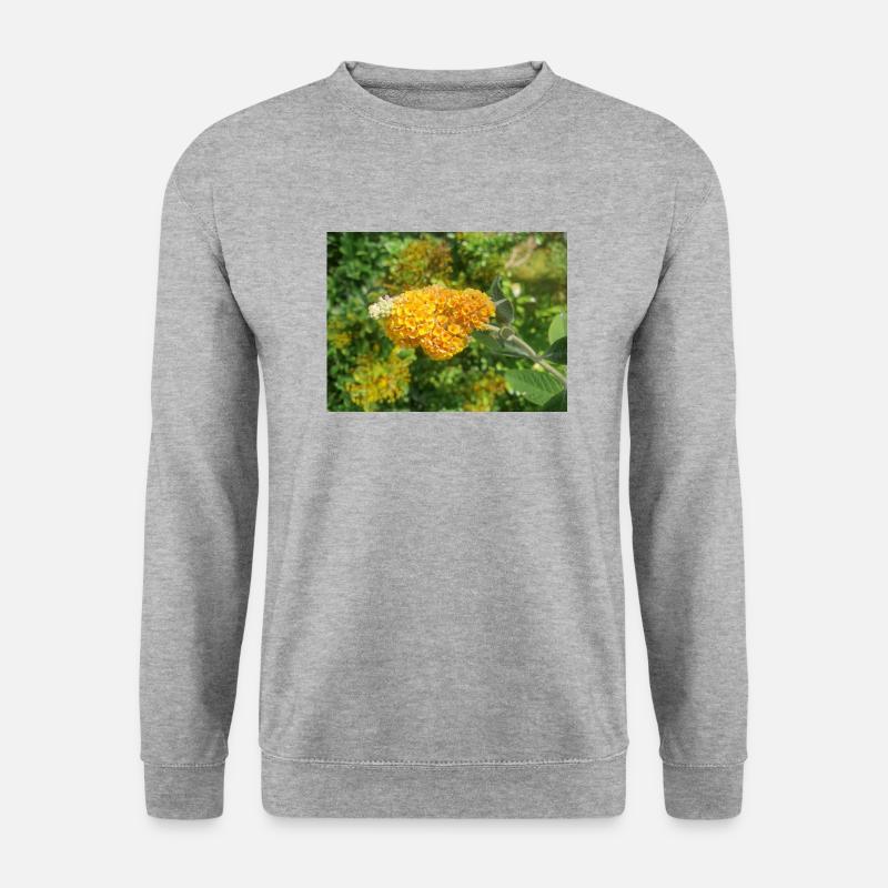 Buddleia, Schmetterlingsstrauch oder Sommerflieder 'Sungold' - Unisex Pullover - Weißgrau meliert