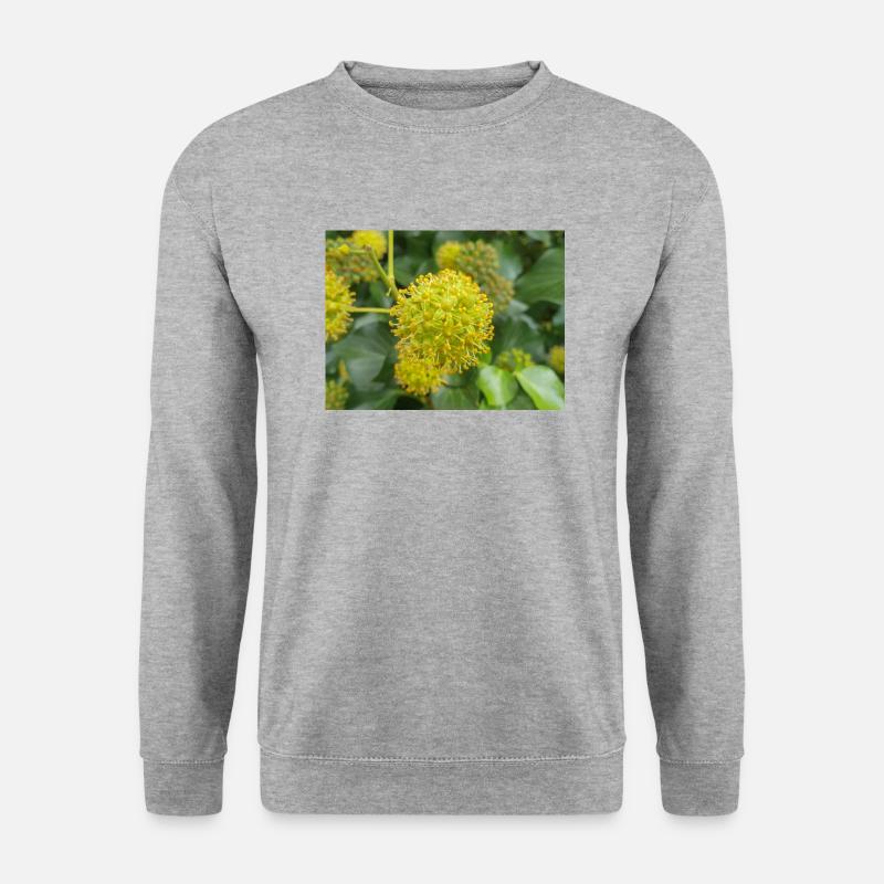 Persischer Efeu (Kolchischer Efeu) - Unisex Pullover - Weißgrau meliert