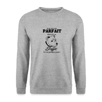 design chien staffie staffordshire bull terrier - Sweat-shirt Unisexe - gris chiné - Devant - Alina (178cm) & Michal (187cm)