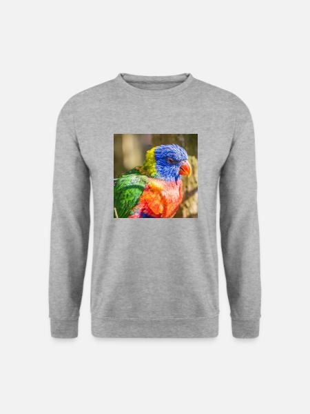 Regenbogenloris (Allfarblori, Trichoglossus) - Unisex Pullover - Weißgrau meliert