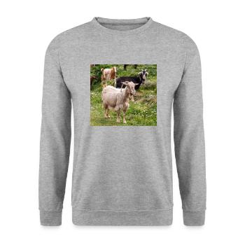 Chèvre de montagne dans le parc national Parc de l’île de Kos - Sweat-shirt Unisexe - gris chiné - Devant - Alina (178cm) & Michal (187cm)