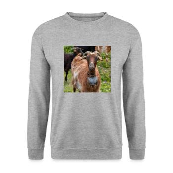 Chèvre de montagne dans le parc national Parc de l’île de Kos - Sweat-shirt Unisexe - gris chiné - Devant - Alina (178cm) & Michal (187cm)