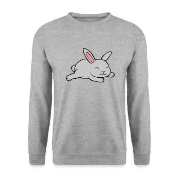Little cute rabbit - Unisex Sweatshirt - salt & pepper - Front - Alina (178cm) & Michal (187cm)