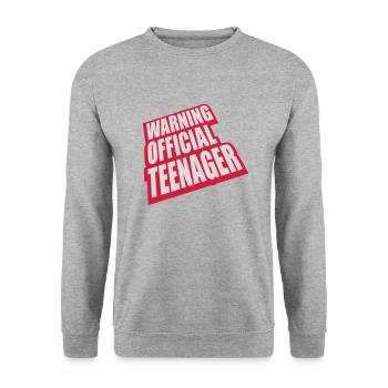 avertissement citation officielle d’adolescent - Sweat-shirt Unisexe - gris chiné - Devant - Alina (178cm) & Michal (187cm)