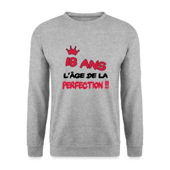 18 ans l'âge de la perfection - Unisex Sweatshirt - salt & pepper - Front - Alina (178cm) & Michal (187cm)
