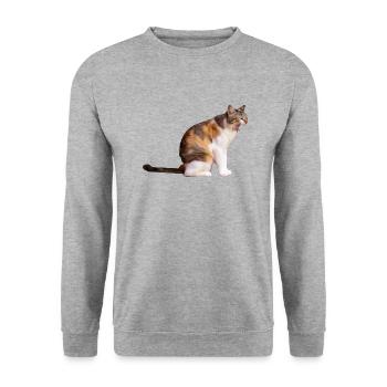 katze katze haustier kätzchen aufkleber - Unisex Pullover - Weißgrau meliert - Vorne - Alina (178cm) & Michal (187cm)