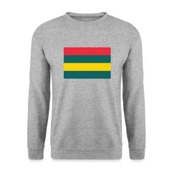 Mauritius island / Flag of Mauritius - Unisex Sweatshirt - salt & pepper - Front - Alina (178cm) & Michal (187cm)