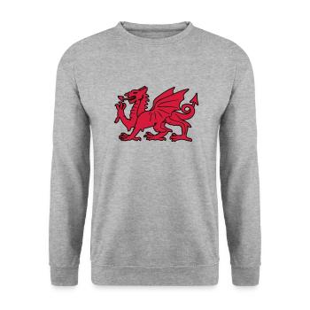 dragon rouge galois pays de Galles - Sweat-shirt Unisexe - gris chiné - Devant - Alina (178cm) & Michal (187cm)