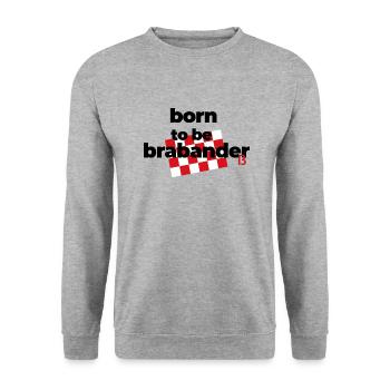 born to be brabander, beautiful Brabant - Unisex Sweatshirt - salt & pepper - Front - Alina (178cm) & Michal (187cm)