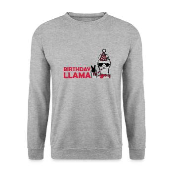 Birthday Llama No Drama - Unisex Sweatshirt - salt & pepper - Front - Alina (178cm) & Michal (187cm)