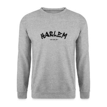 Harlem - New York City - USA - America - Unisex Sweatshirt - salt & pepper - Front - Alina (178cm) & Michal (187cm)