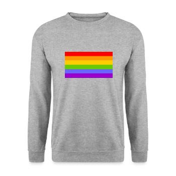 Rainbow flag - Gay - Lesbian - Unisex Sweatshirt - salt & pepper - Front - Alina (178cm) & Michal (187cm)