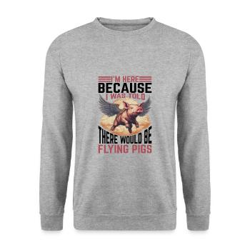 On m’a dit qu’il y aurait des cochons volants 24 - Sweat-shirt Unisexe - gris chiné - Devant - Alina (178cm) & Michal (187cm)
