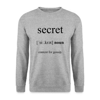 Secret (Geheimnis) Definition Dictionary - Unisex Pullover - Weißgrau meliert - Vorne - Alina (178cm) & Michal (187cm)