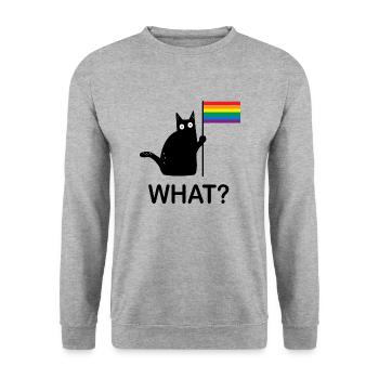 Lustige Schwarze Katze What? Gay Pride LGBT - Unisex Pullover - Weißgrau meliert - Vorne - Alina (178cm) & Michal (187cm)