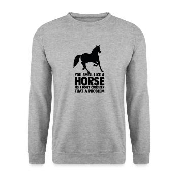 Pferde Reiten Reiter Spruch - Unisex Pullover - Weißgrau meliert - Vorne - Alina (178cm) & Michal (187cm)