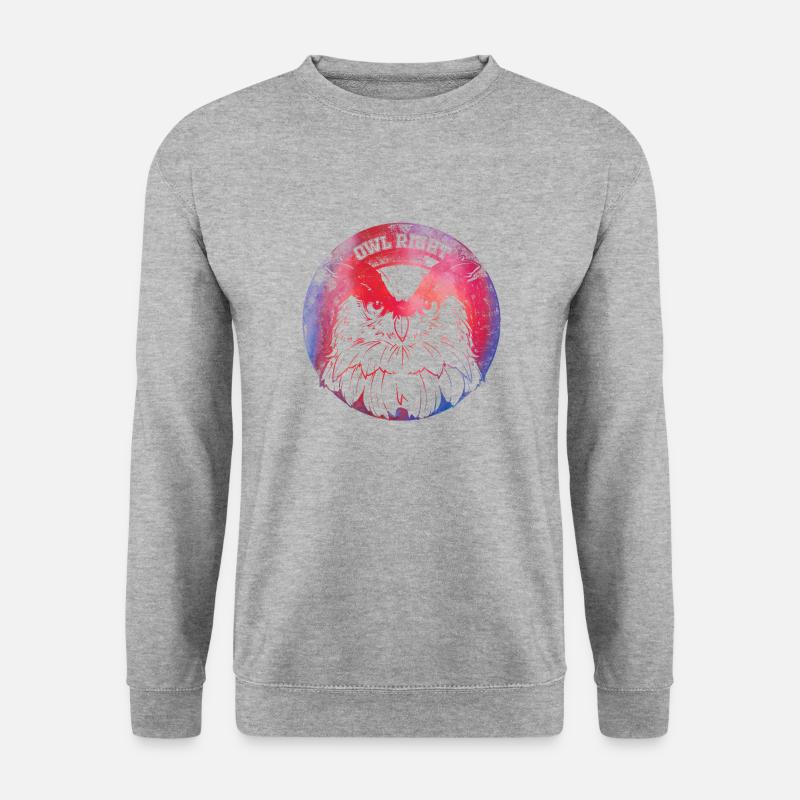 Owl Right Alright Eule Wortspiel - Unisex Pullover - Weißgrau meliert