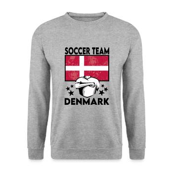 Denmark Soccer Football 2022 WM - Sweat-shirt Unisexe - gris chiné - Devant - Alina (178cm) & Michal (187cm)