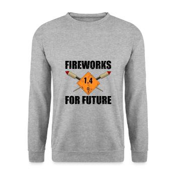 Feu d'artifice pour le futur Pyro - Sweat-shirt Unisexe - gris chiné - Devant - Alina (178cm) & Michal (187cm)