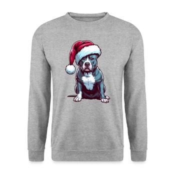 Pitbull The Santa Claus - Unisex Sweatshirt - salt & pepper - Front - Alina (178cm) & Michal (187cm)