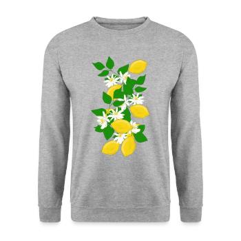 Zitronen, Zweig, Blüten - Unisex Pullover - Weißgrau meliert - Vorne - Alina (178cm) & Michal (187cm)