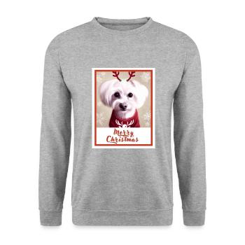 Chien maltais dans un pull de Noël rouge. - Sweat-shirt Unisexe - gris chiné - Devant - Alina (178cm) & Michal (187cm)