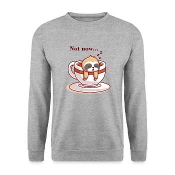 Not now - Sweat-shirt Unisexe - gris chiné - Devant - Alina (178cm) & Michal (187cm)