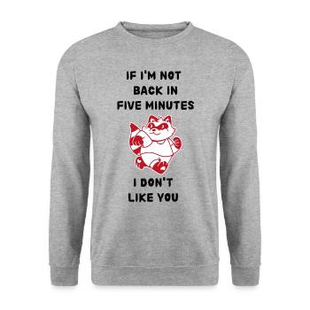 Wenn ich in fünf Minuten nicht zurück bin - Unisex Pullover - Weißgrau meliert - Vorne - Alina (178cm) & Michal (187cm)
