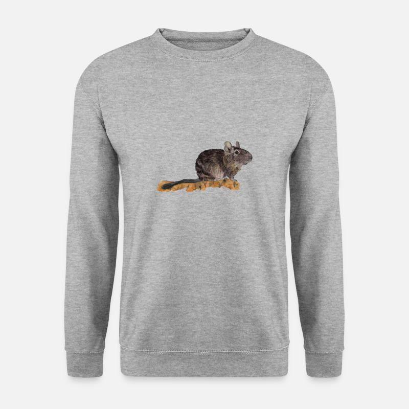 Degu - Unisex Pullover - Weißgrau meliert
