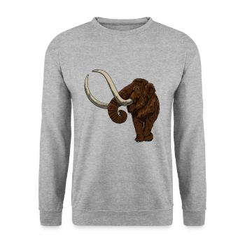 Mammouth de Ice Age Idée cadeau pour disparu - Sweat-shirt Unisexe - gris chiné - Devant - Alina (178cm) & Michal (187cm)