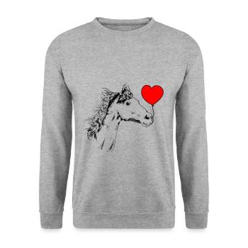 Pferd Geburtstag Glückwunsch Sieger Reiter Pony - Unisex Pullover - Weißgrau meliert - Vorne - Alina (178cm) & Michal (187cm)