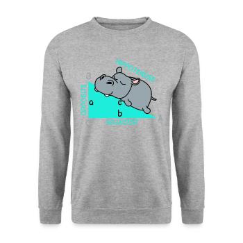 Hippoténuse math maths professeur de mathématiques blague - Sweat-shirt Unisexe - gris chiné - Devant - Alina (178cm) & Michal (187cm)