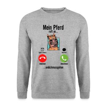 Mein Pferd Ruft An Pferde - Unisex Pullover - Weißgrau meliert - Vorne - Alina (178cm) & Michal (187cm)