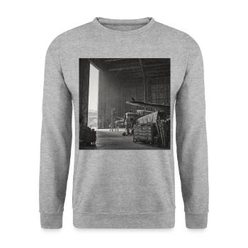 Raven dans l’avion Lieu perdu Crime animal vintage - Sweat-shirt Unisexe - gris chiné - Devant - Alina (178cm) & Michal (187cm)