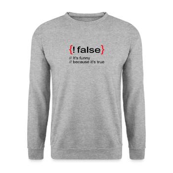 Drôle Lol Nerd Informaticien - Sweat-shirt Unisexe - gris chiné - Devant - Alina (178cm) & Michal (187cm)
