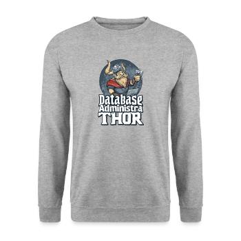 Viking Databaseadministra-thor Nerdy - Unisex Pullover - Weißgrau meliert - Vorne - Alina (178cm) & Michal (187cm)