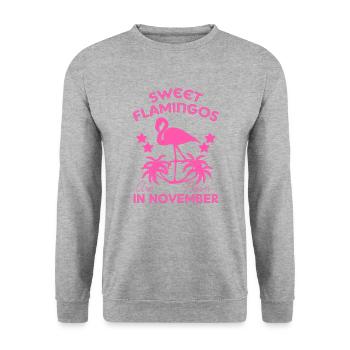 Novembre ANNIVERSAIRE FLAMANT PALMS FILLES STARS - Sweat-shirt Unisexe - gris chiné - Devant - Alina (178cm) & Michal (187cm)