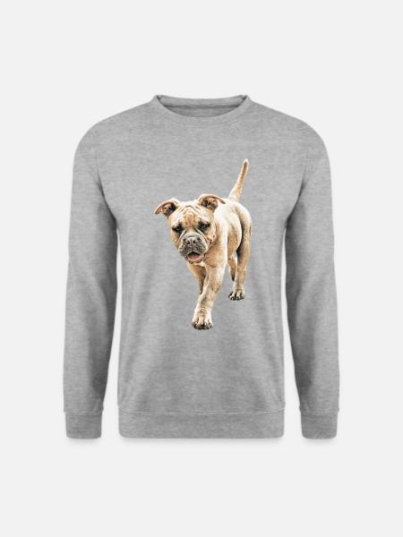 Bouledogue Vieux Bouledogue Anglais Chien Chiens - Sweat-shirt Unisexe - gris chiné