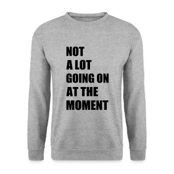 Not a lot going at the moment - Unisex Sweatshirt - salt & pepper - Front - Alina (178cm) & Michal (187cm)