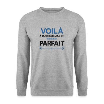 Un Ingénieur parfait métier cadeau - Sweat-shirt Unisexe - gris chiné - Devant - Alina (178cm) & Michal (187cm)