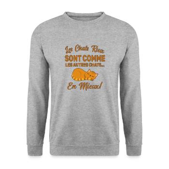 Chats Roux Sont Comme Les Autres Chats En Mieux - Sweat-shirt Unisexe - gris chiné - Devant - Alina (178cm) & Michal (187cm)
