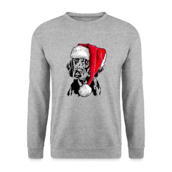 Santa FLAT COATED RETRIEVER Weihnachten Wilsigns - Unisex Pullover - Weißgrau meliert - Vorne - Alina (178cm) & Michal (187cm)