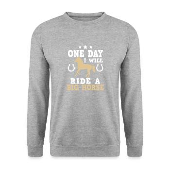 Chemises de cheval enfants · Équitation · Grand cheval - Sweat-shirt Unisexe - gris chiné - Devant - Alina (178cm) & Michal (187cm)