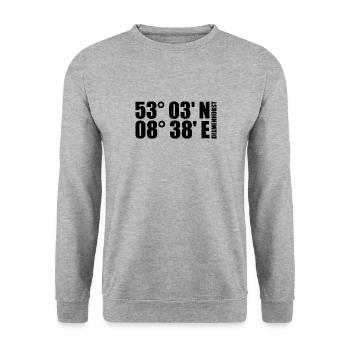 Coordonnées de Delmenhorst - Sweat-shirt Unisexe - gris chiné - Devant - Alina (178cm) & Michal (187cm)